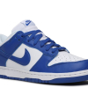 Nike Dunk Low SP Kentucky (2020)