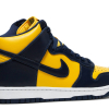 Nike Dunk High Michigan (2020)