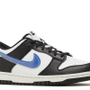 Nike Dunk Low Next Nature TPU Swoosh (GS)