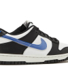 Nike Dunk Low Next Nature TPU Swoosh (GS)